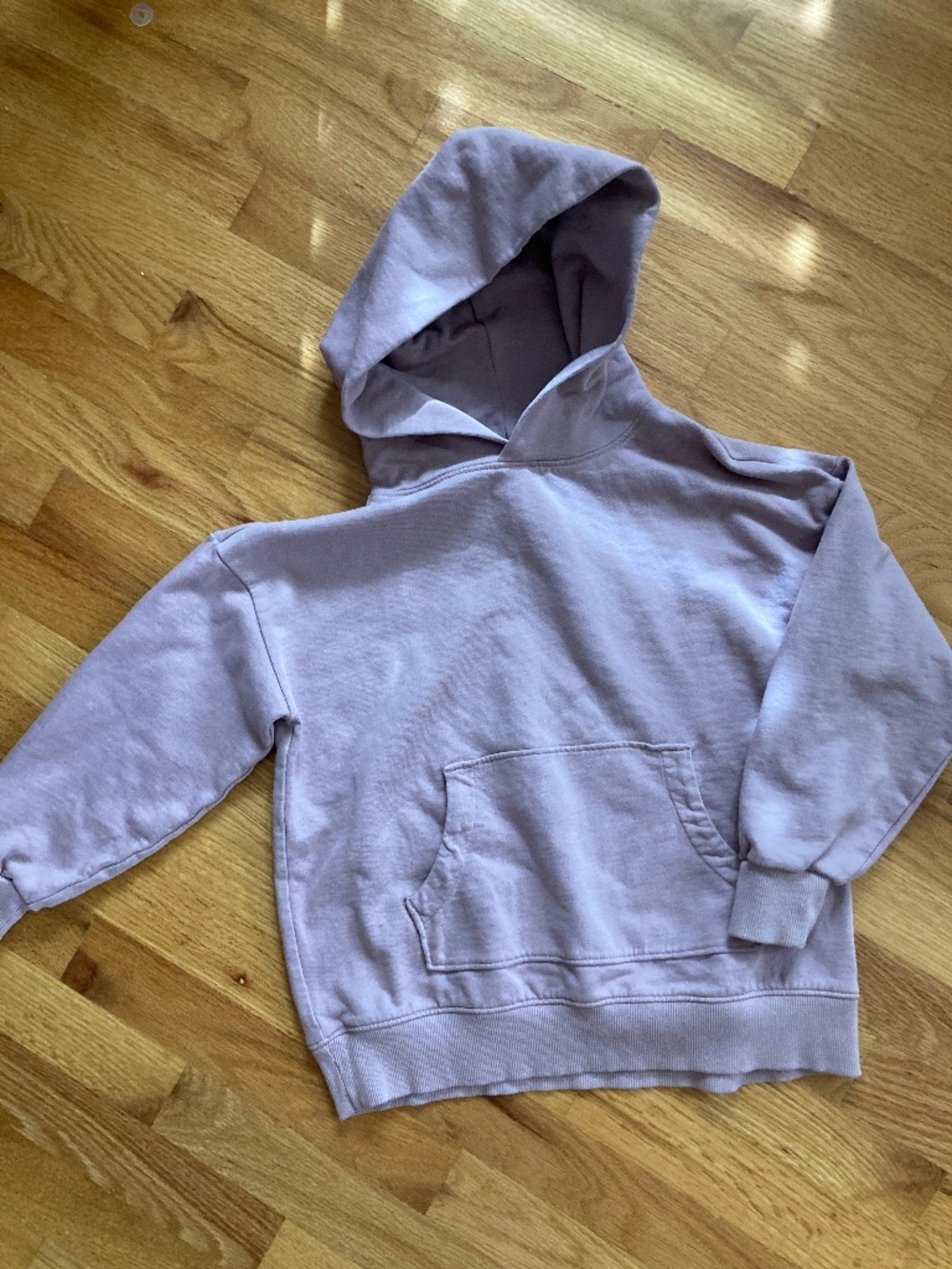 Girl's Hanna Andersson Sweatshirt Hoodie